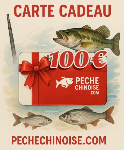 Carte Cadeau - Valeur 100€