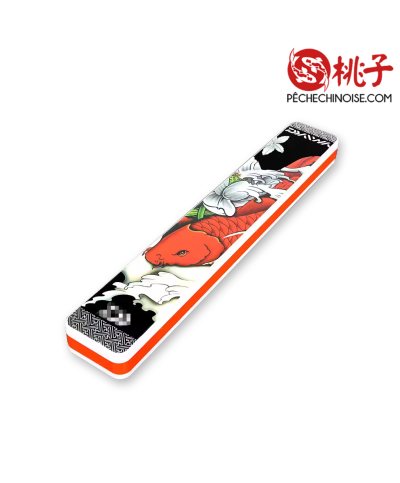 Boîte de Rangement Pêche – Flotteurs & Lignes 2