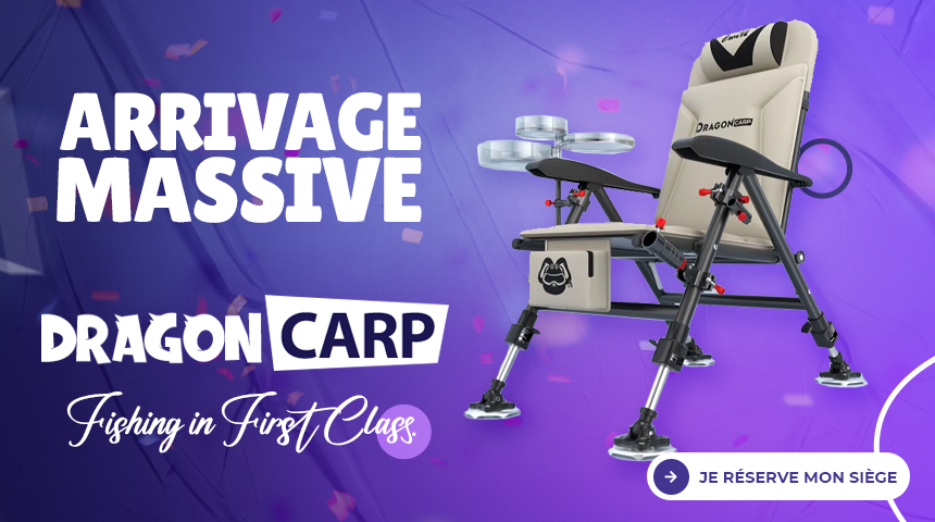 siège de pêche chinoise dragon carp